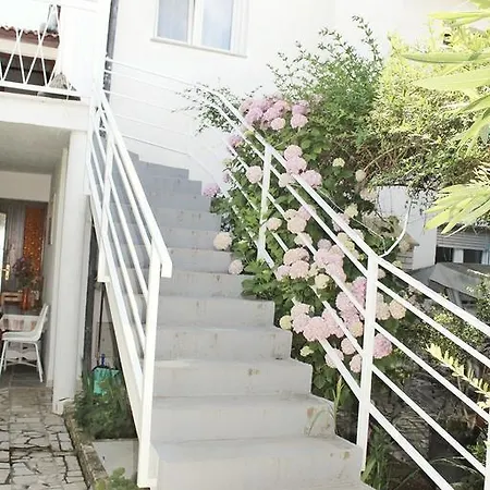 Niko Id:0008 Apartman *